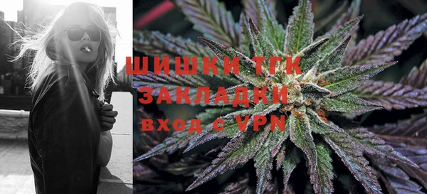 крисы Майский