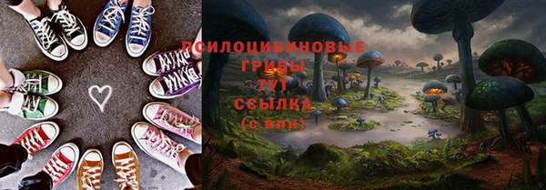 крисы Майский