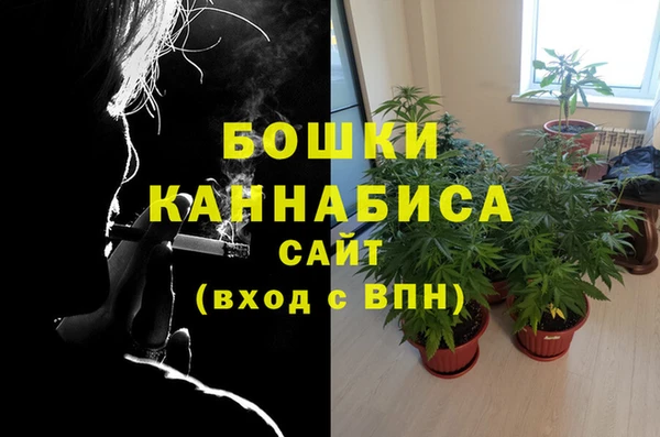 крисы Майский